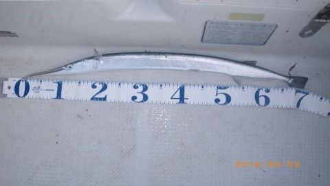 gweaxhywrjom54gr9xnc_480_480-0d09567c.jpg