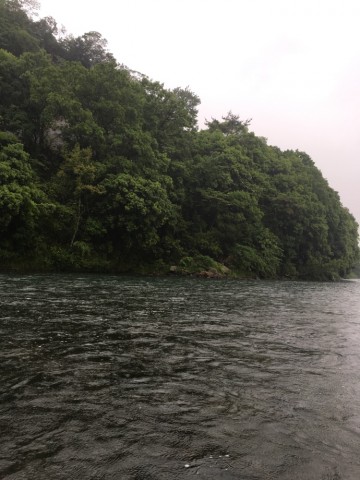 gwitfejehuc3aamrvuwd_690_920-a63b8617.jpg