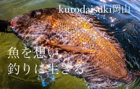 gwmd34nmu2izr7ofc8wu_480_307-c4d79f2b.jpg
