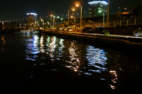 gxMn2EB2N2PWTcmuedkB_480_480-87b4ad95.jpg