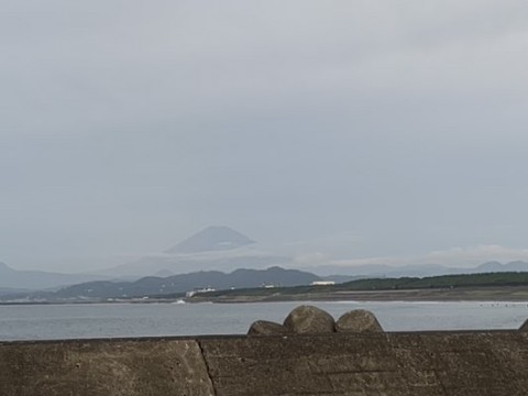 gxussbyrxfwo3upio4rt_480_360-59a4fd62.jpg