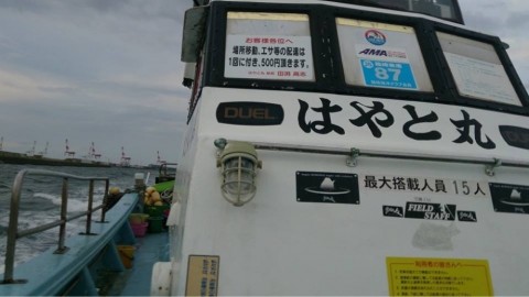 gy4kyvgckpugcpitccw8_920_517-6e92079f.jpg