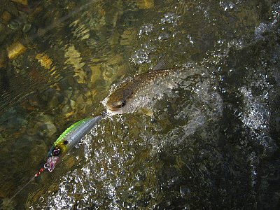 gy7kyawi26ir5swwkunu-0a0f300e.jpg