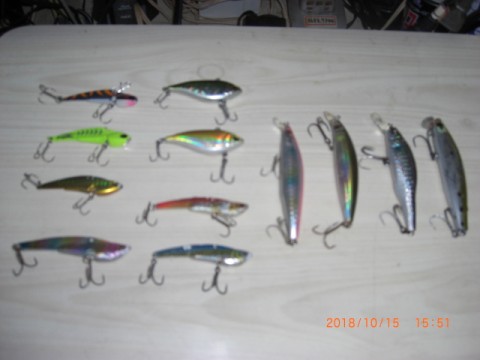 gy7uef8yjgbu3953nbee_480_480-7572e858.jpg