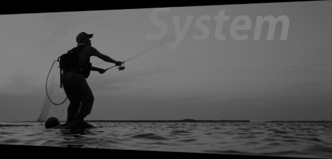 gybhetydbsjbkoe4wthv_920_441-6ea6ded0.jpg