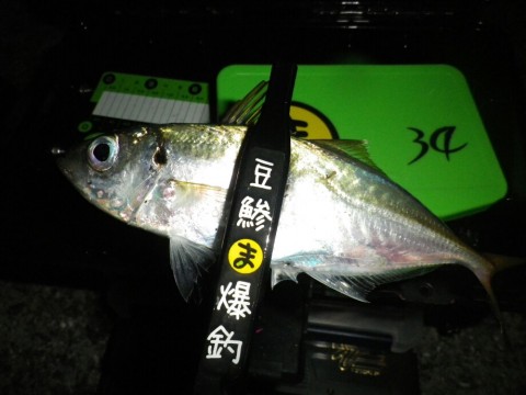 gykr6vgpksowmxso2zn3_920_690-212fbde8.jpg