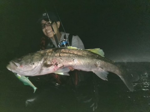 gysiko2ts9vy6p6hs9a4_480_360-c9c0e3e7.jpg