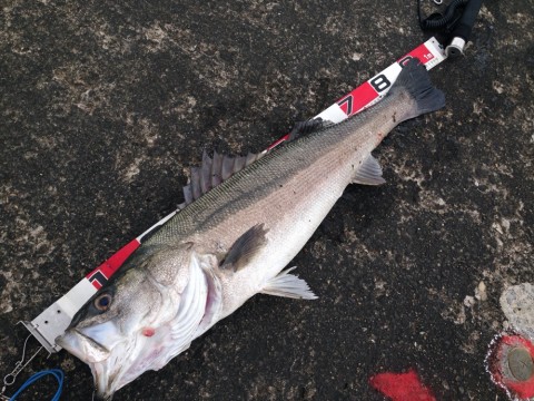 gytjxgr2aw5yet9nwvfc_920_690-f053b532.jpg
