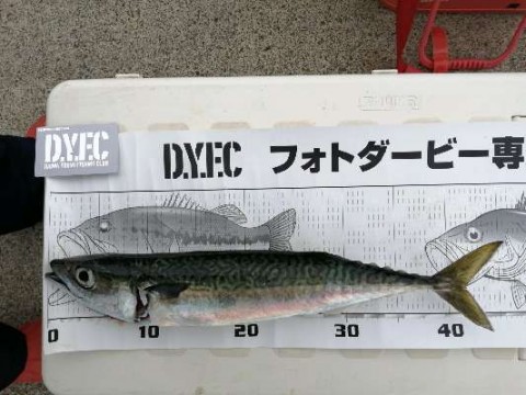 gyvk783hvpyx6hi3rxet_480_480-0e5dc052.jpg