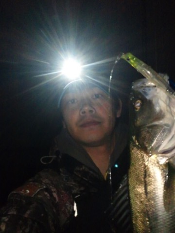 gz4d7u9h5wuzu6g3jrey_480_480-bb538285.jpg