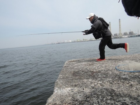 gz4w7f287jvt39s4bax6_480_480-b1fad513.jpg