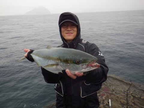 gz4y7k857aedrpkumkg8_480_480-db41ab7a.jpg