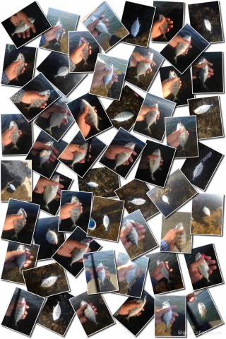 gze3n34874hge5tuxo94_480_480-4cc84fb2.jpg