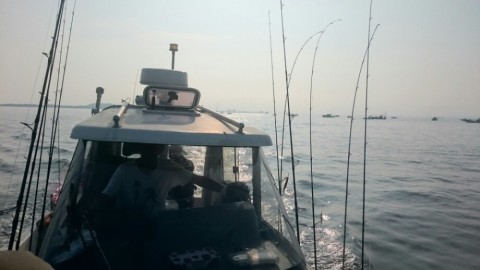gzi7sxuifimetzxpjss2_920_518-e54a1391.jpg