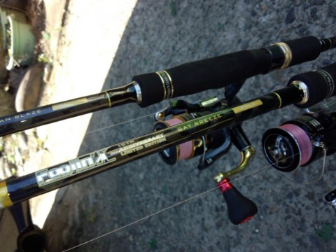 h255esyh9b3fd5ejph2u_920_690-8b67cc26.jpg
