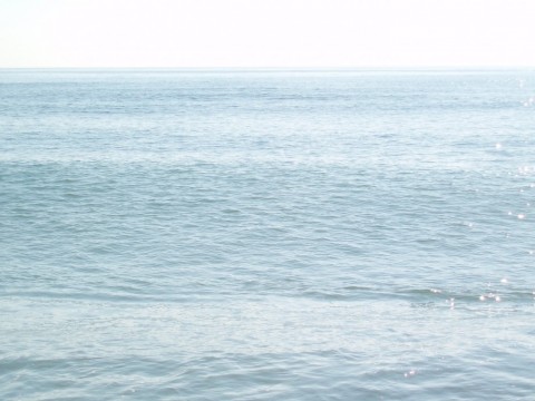 h29uvzepiwj2nayuairg_480_480-0d29cf82.jpg