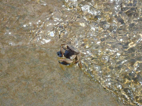 h2o5whnrb65tic3dbdc3-83fc8c66.jpg