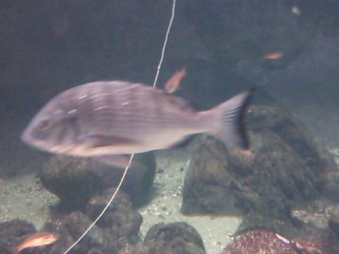 h2ozz6hzw26fxs468sh8_640_480-e202915c.jpg
