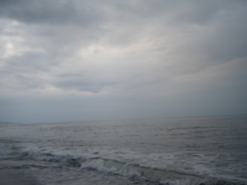 h37wwwgvk86akmx4xna3_480_480-895cccba.jpg