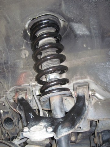 h3wzb5omacsinnum3ks5_480_480-71620099.jpg