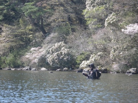 h4igs4x8z2ynxahzeoyu_480_480-b860ffcd.jpg