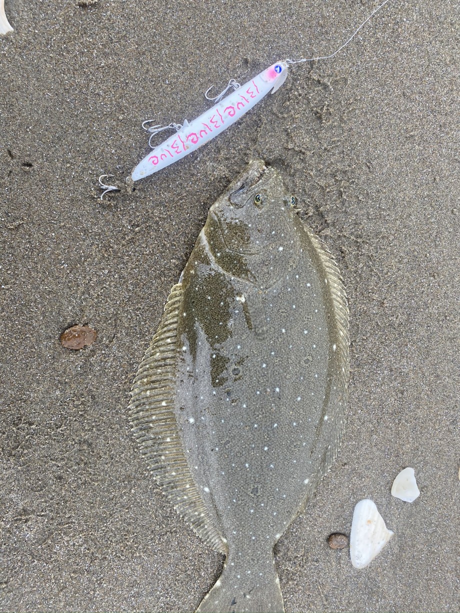 釣りの家の記録 久々ヒラメつれた