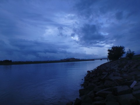 h52cyoxiy7y6nndrzxwd_480_480-1405f423.jpg
