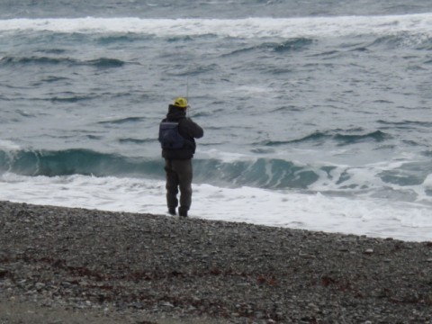 h53gbnms4oshp4x2ca3m_480_480-fa965644.jpg