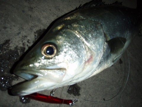 h596ueumhfw4ei4nsggh_920_690-f5d2c7ed.jpg