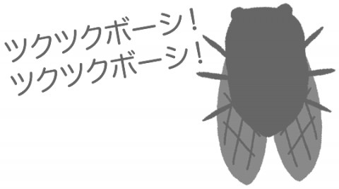 h59frj4oekwnc3scfm2e_480_480-28a33c5c.jpg