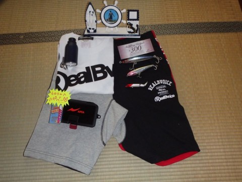 h5dmdbaedbfop5kz7iic_480_480-d39b562c.jpg