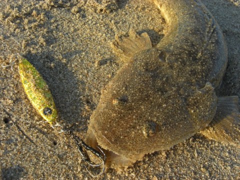 h5sv66rcp6sjnuoto28z_480_480-adf3c695.jpg