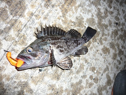 h625sxdik3pwp5bxajbg-5125960c.jpg
