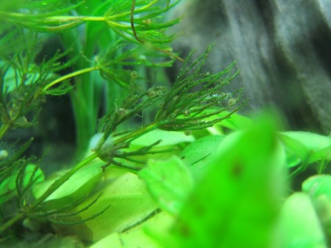 h6bfbs7f6owyviu7p379_920_690-388dc0fd.jpg