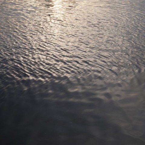h6drs34n7o7dyo3drcfd_480_480-45f64e1f.jpg