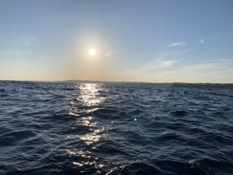 h6eirenzbvswrjztvjsx_480_361-55f65866.jpg