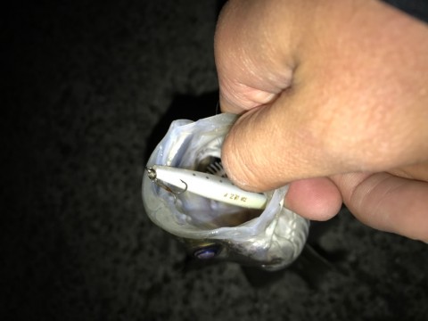 h6k2r54vuggrbparmn2c_920_690-e872e2ae.jpg