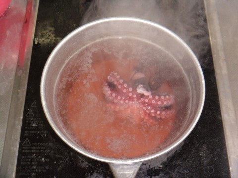h7g5znw92rbfwawepb7j_480_480-cf7c0b62.jpg