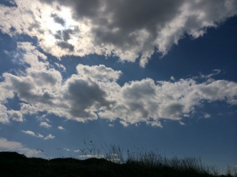 h955ehtvmoxm3px4t9in_480_480-4c9f3003.jpg