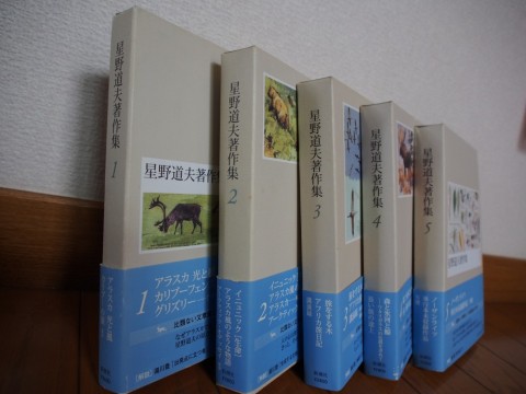 h97vibsowrcgmyko2at9_480_480-feef6f4b.jpg