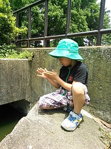 h98ci2eej3jskc8fs5cv_480_480-59516e28.jpg