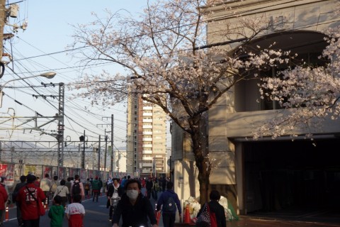 h9ri38k8sscje7y7jzn8_480_480-31b5fe08.jpg