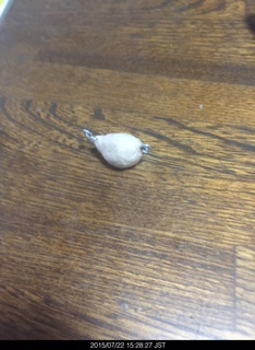 固まったボンボン