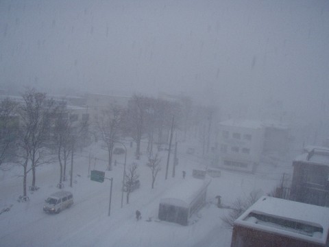 hQmTyg9OitxsYPXzPVaK_480_480-d03f1acd.jpg