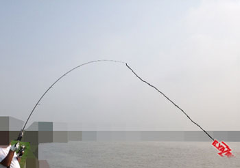 ha4mad2xkii3hm53jkw9-58d2debf.jpg
