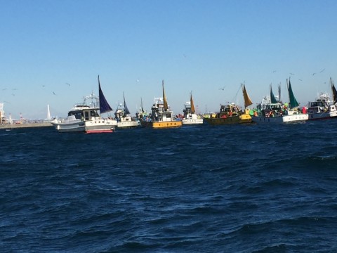 ha5a43eusyajnv4izgpv_920_690-0296e9ef.jpg