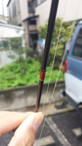 ha6w4wp2d93utxin4874_518_920-598ec7ca.jpg
