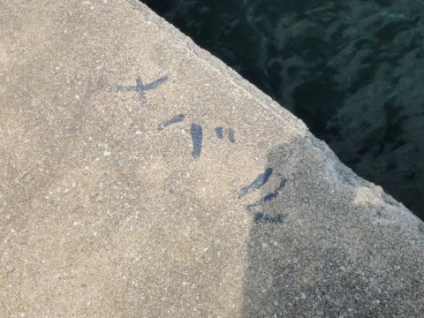 haoew93n6at62e532j35_480_480-1fb832a8.jpg