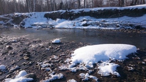 hawj8ahynd42kjo398u5_920_518-f54851e1.jpg
