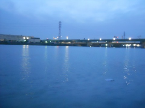 hayi7jo6urzpnokd9bhn_480_480-667d20ee.jpg